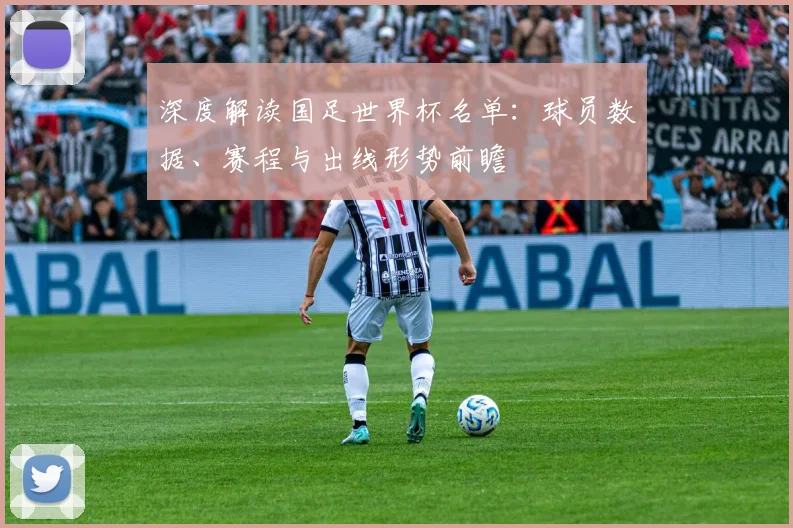 深度解读国足世界杯名单：球员数据、赛程与出线形势前瞻