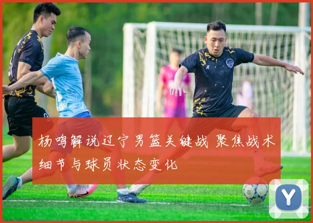 杨鸣解说辽宁男篮关键战 聚焦战术细节与球员状态变化