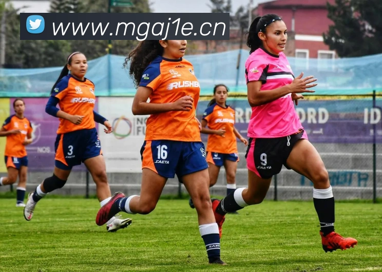 星空网官方网站入口品牌故事